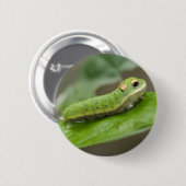 Butterfly Raupe Larva Button (Vorne & Hinten)