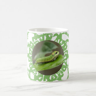 Butterfly Raupe Larva Kaffeetasse