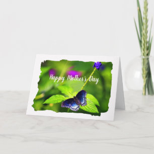Butterfly Red-spotted Purple Mother's Day Karte