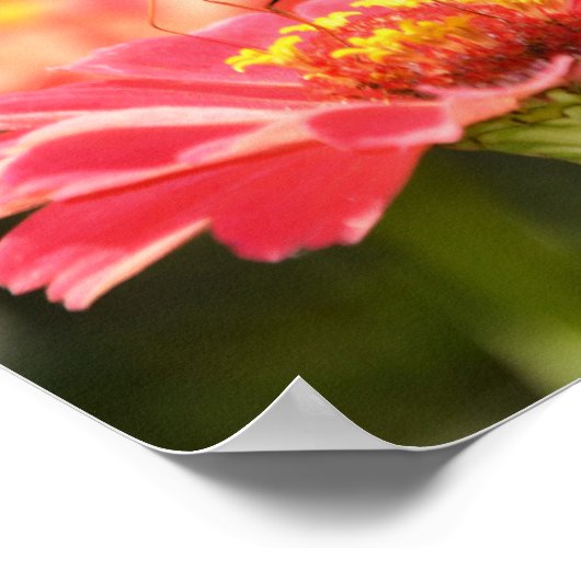 Butterfly Scripting Poster 2 Korinthians (Ecke)