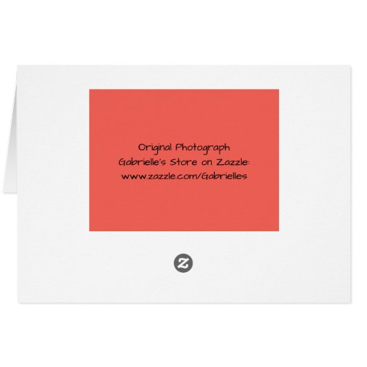 Butterfly Scripture Note Card Psalm 92:5 (Rückseite Horizontal)