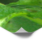 Butterfly-Serie Poster (Ecke)