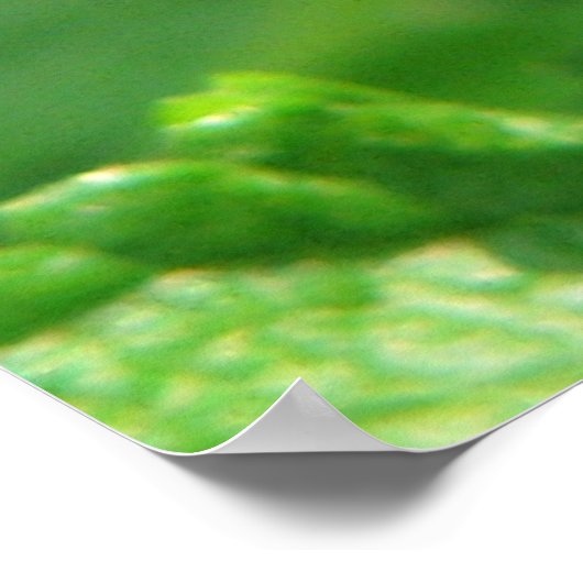 Butterfly-Serie Poster (Ecke)