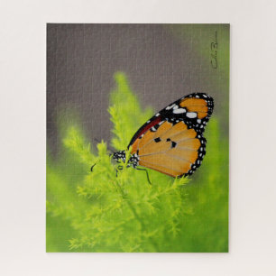 Butterfly series - African monarch butterfly Puzzle