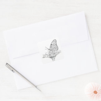 Butterfly Sketch zeichnend Quadratischer Aufkleber