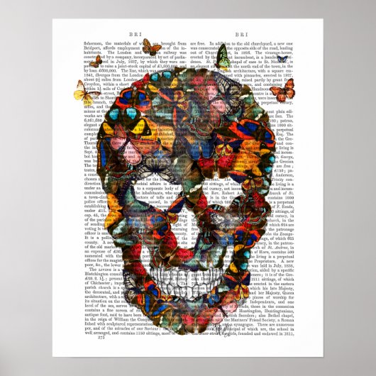 Butterfly Skull Poster (Vorne)