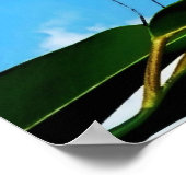 Butterfly & Sky Poster (Ecke)