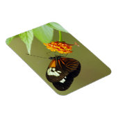 Butterfly Small Magnet (Rechte Seite)