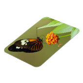 Butterfly Small Magnet (Linke Seite)