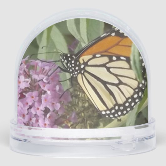 Butterfly Snow Globe Schneekugeln (Rückseite)