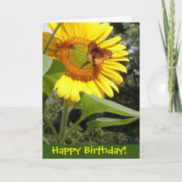 Butterfly Sonnenblume Geburtstagskarte Karte