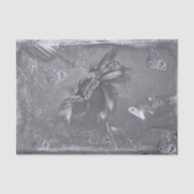 Butterfly Sonnenblume Schwarz-weiß Vintag Negativ