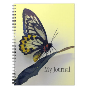 Butterfly Spiral-Bound Journal-Notebook Notizblock