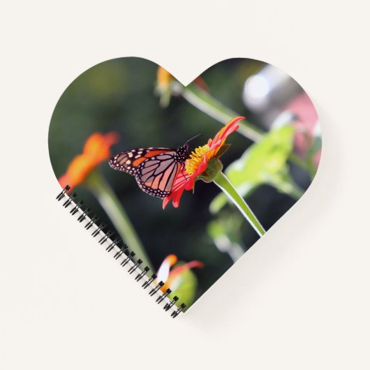 Butterfly SpiralNotebook Notizblock (Vorderseite)