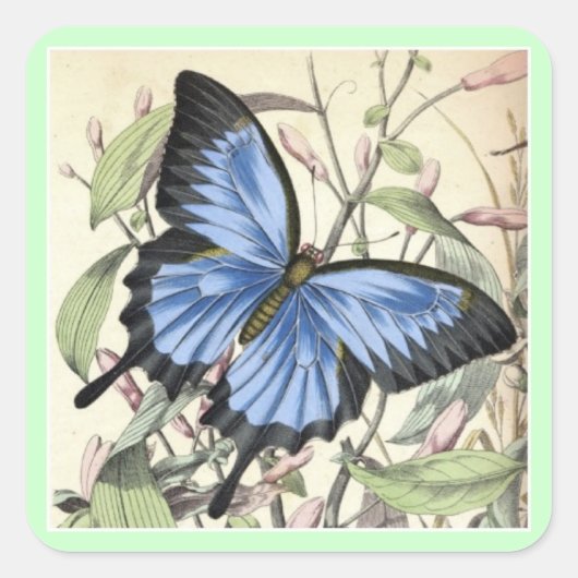 Butterfly Square Sticker. Quadratischer Aufkleber (Vorderseite)