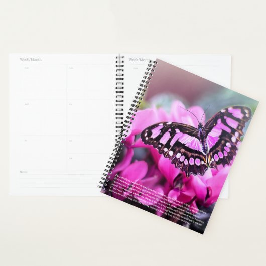 Butterfly-Symbolismus-Kalender Planer (Anzeige)