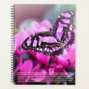 Butterfly-Symbolismus-Kalender Planer