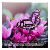 Butterfly Symbolismus Poster (Vorderseite)