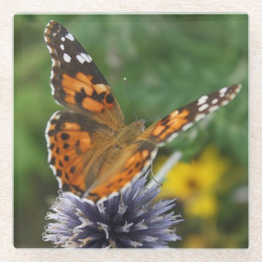 Butterfly Thistle Glass Untersetzer (Vorderseite)