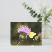 BUTTERFLY & THISTLE POSTCARD POSTKARTE (Stehend Vorderseite)