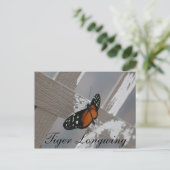 Butterfly Tiger Longwing # 1 Postkarte (Stehend Vorderseite)