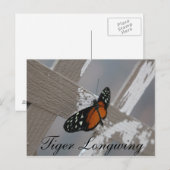 Butterfly Tiger Longwing # 1 Postkarte (Vorne/Hinten)