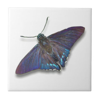 Butterfly Tile - Mangrove Skipper Fliese