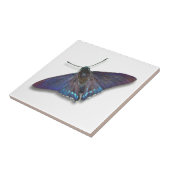 Butterfly Tile - Mangrove Skipper Fliese (Seite)