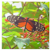 "BUTTERFLY" TILE/TRIVET (FOTOG) FLIESE (Vorderseite)