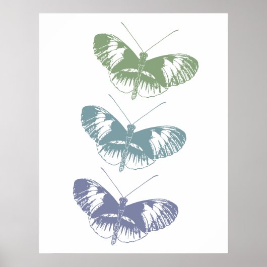 Butterfly Trio Poster (Vorne)