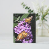 Butterfly Twins ~ Postkarte (Stehend Vorderseite)