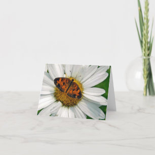 Butterfly und Daisy Note Card Karte