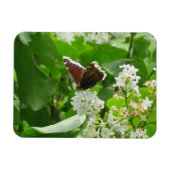 Butterfly und Spring Lilac Magnet (Horizontal)