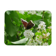 Butterfly und Spring Lilac Magnet