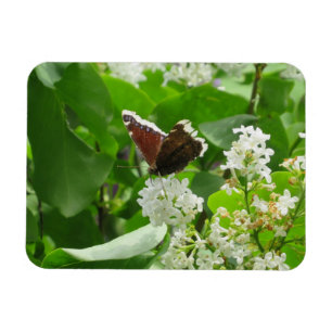 Butterfly und Spring Lilac Magnet