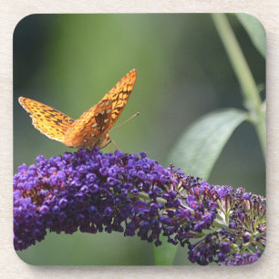 Butterfly-Untersetzer Getränkeuntersetzer