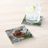 Butterfly-Untersetzer Glasuntersetzer (Schrägansicht)