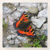 Butterfly-Untersetzer Glasuntersetzer (Vorderseite)