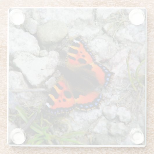 Butterfly-Untersetzer Glasuntersetzer (Rückseite)