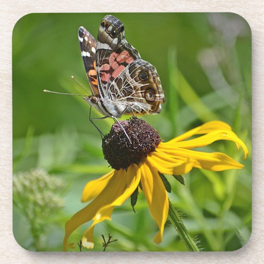 Butterfly-Untersetzer Untersetzer (Vorderseite)