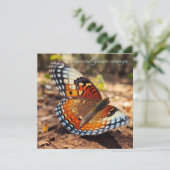 Butterfly verbreitet Flügel Einladung (Stehend Vorderseite)