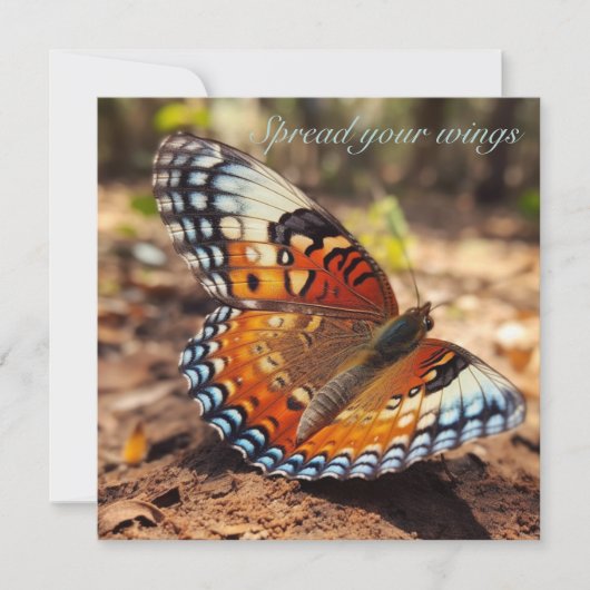 Butterfly verbreitet Flügel Einladung (Vorderseite)