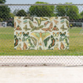 Butterfly Vintag Antique Butterfells Kunst Banner (Insitu)