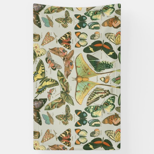 Butterfly Vintag Antique Butterfells Kunst Banner (Vertikal)