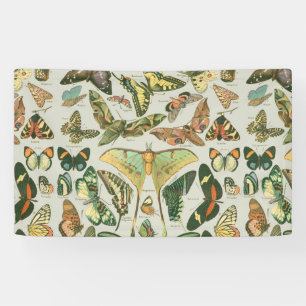 Butterfly Vintag Antique Butterfells Kunst Banner