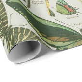 Butterfly Vintag Antique Butterfells Kunst Geschenkpapier (Rolleneckpunkt)