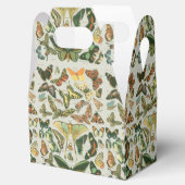 Butterfly Vintag Antique Butterfells Kunst Geschenkschachtel (Geöffnet)