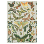 Butterfly Vintag Antique Butterfells Kunst Klemmbrett (Rückseite)