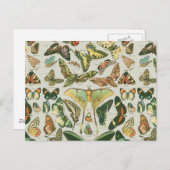 Butterfly Vintag Antique Butterfells Kunst Postkarte (Vorne/Hinten)