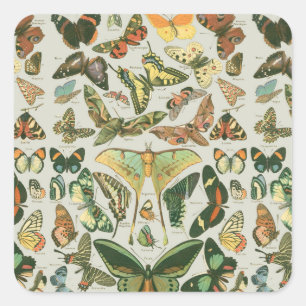 Butterfly Vintag Antique Butterfells Kunst Quadratischer Aufkleber